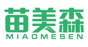 苗美森
MIAOMESEN