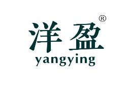 洋盈