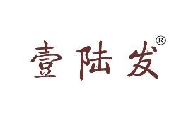 壹陆发