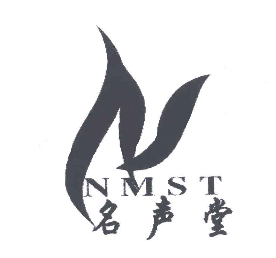 名声堂 NMST N