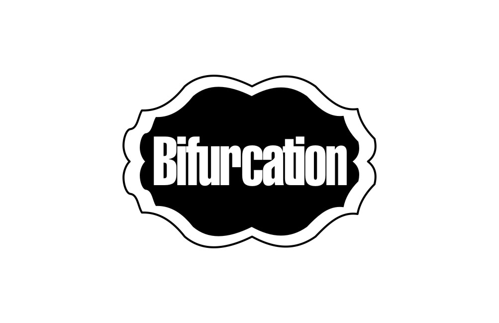 Bifurcation
（分歧）