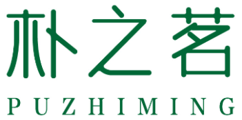 朴之茗 PUZHIMING