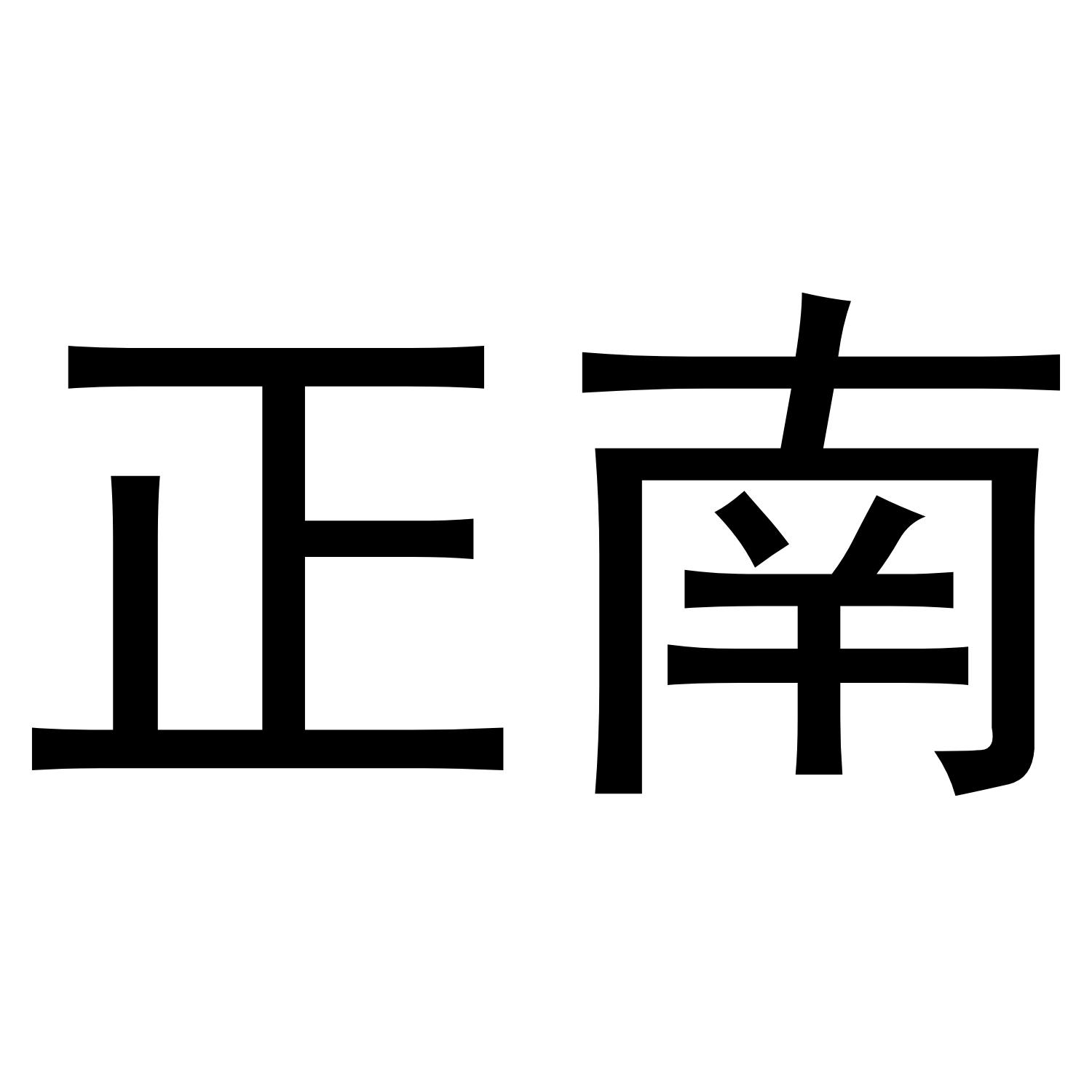 正南