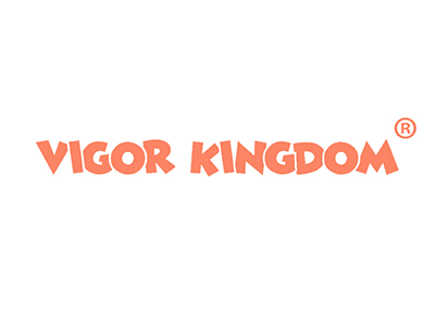 VIGOR KINGDOM“元气王国”