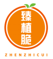 臻植脆