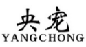 央宠YANGCHONG