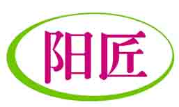 阳匠