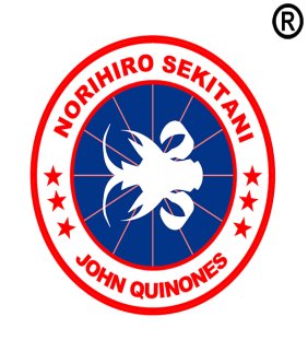 Norihiro Sekitani JOHN QUINONES 加拿大鹅