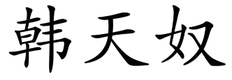 韩天奴