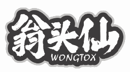 翁头仙WONGTOX