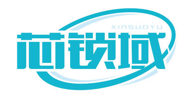 芯锁域XINSUOYU