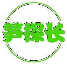 笋探长