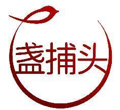 盏捕头
