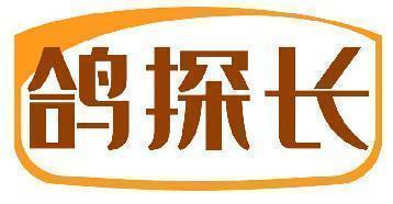 鸽探长
