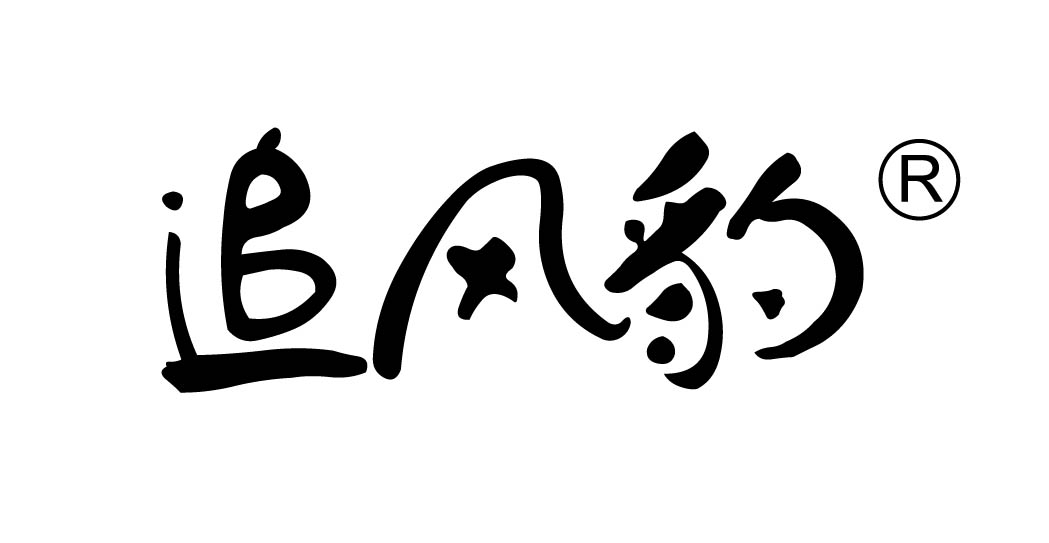追风豹