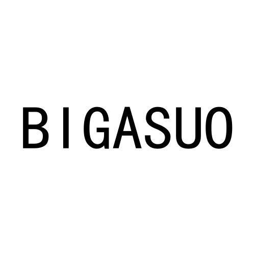 BIGASUO