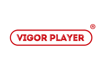 VIGOR PLAYER“元气玩国”