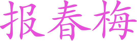报春梅