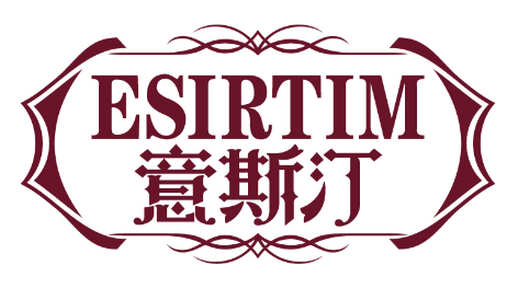 意斯汀
ESIRTIM