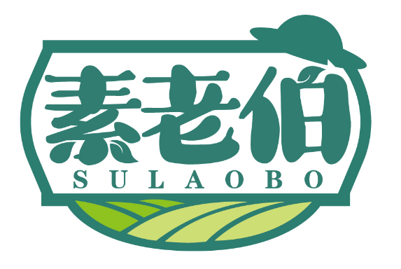 素老伯
SULAOBO