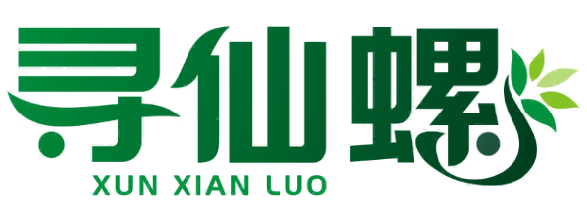 寻仙螺XUN XIAN LUO