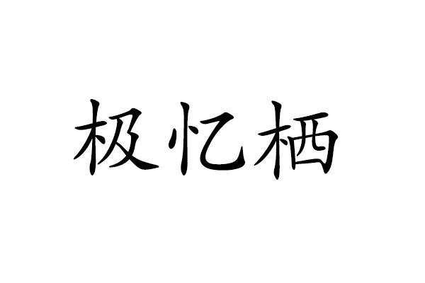 极忆栖