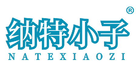 纳特小子