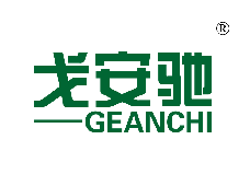 戈安驰 戈安驰