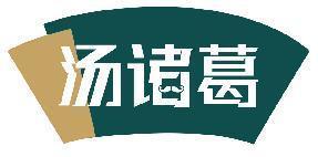 汤诸葛