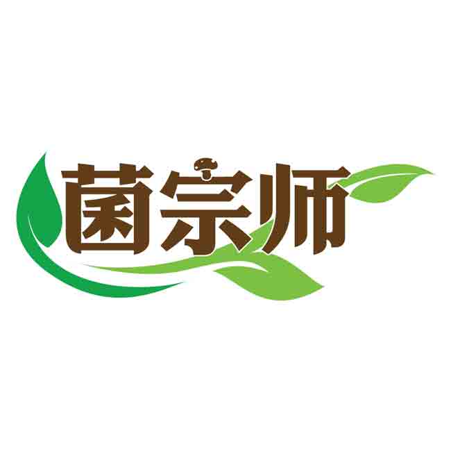 菌宗师