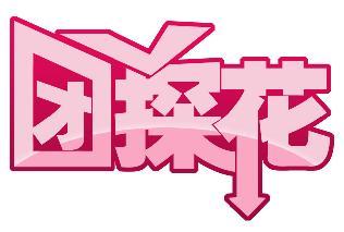 团探花