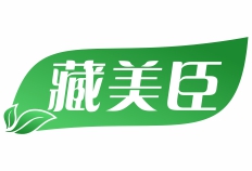 藏美臣