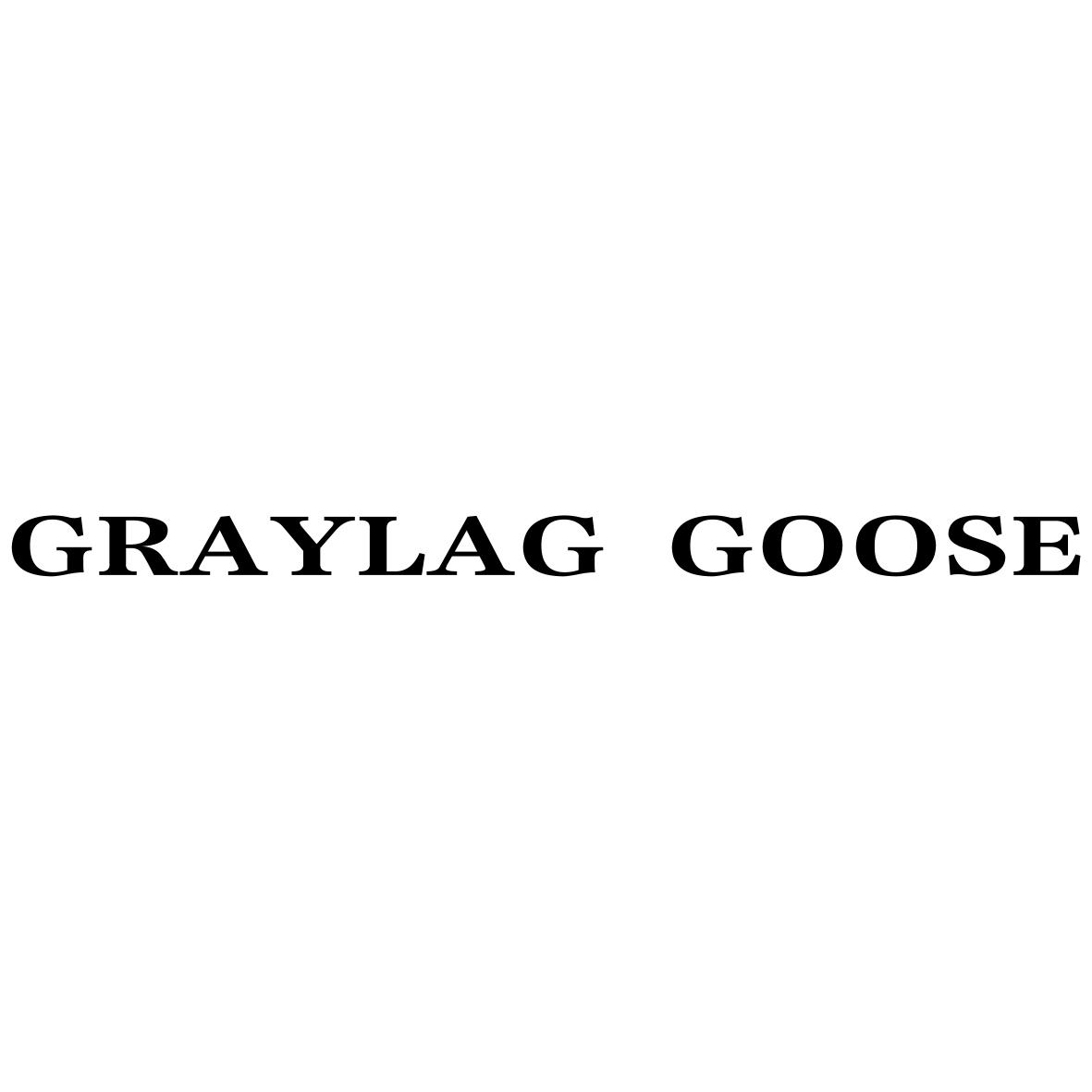 GRAYLAG GOOSE