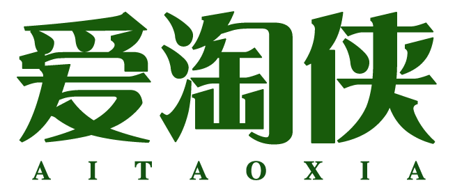 爱淘侠