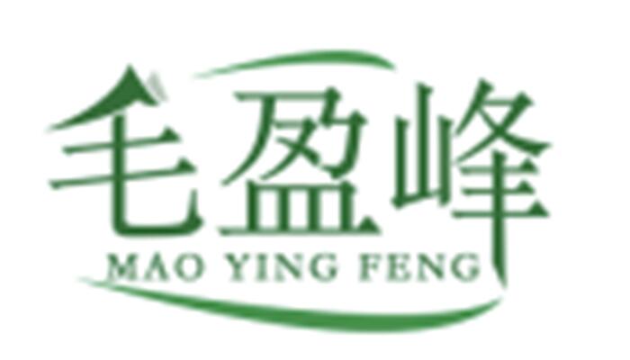 毛盈峰