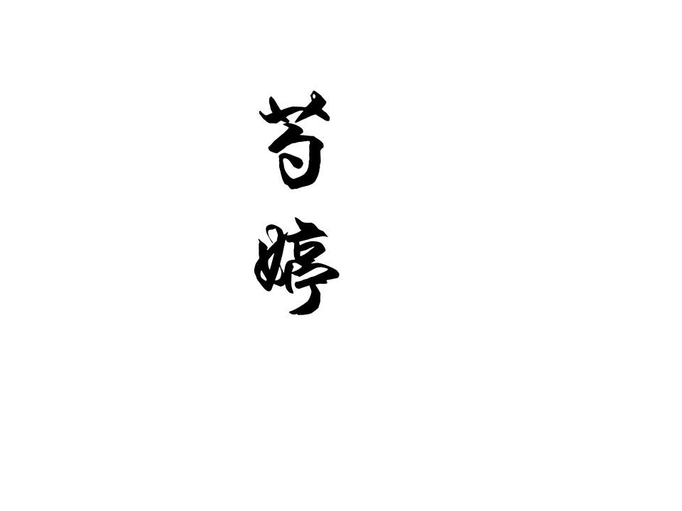 芍婷
