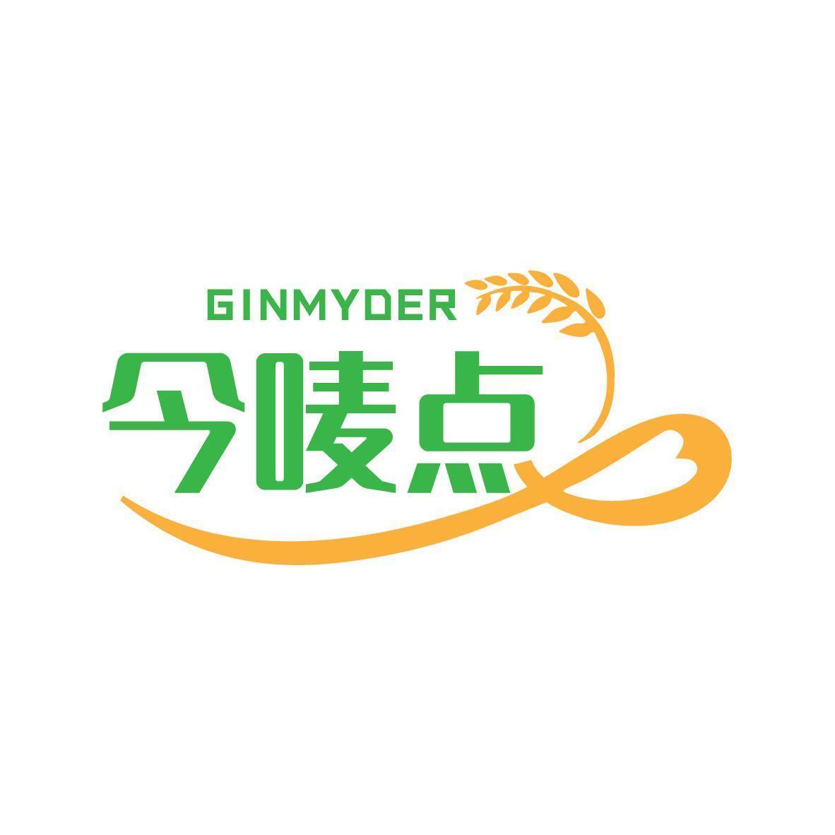 今唛点 GINMYDER