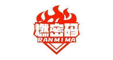 燃密码
