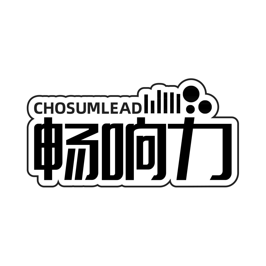 畅响力 CHOSUMLEAD