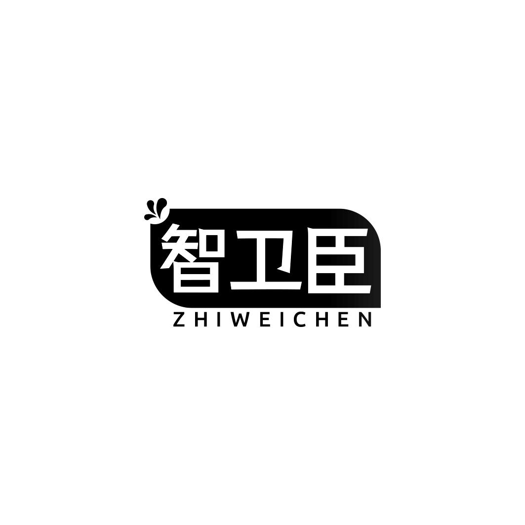 智卫臣ZHIWEICHEN