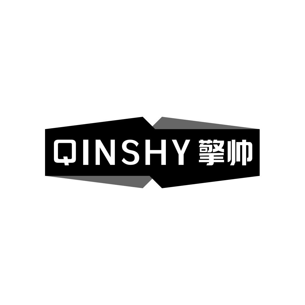 擎帅  QINSHY