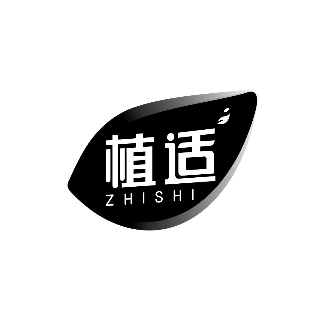 植适  ZHISHI