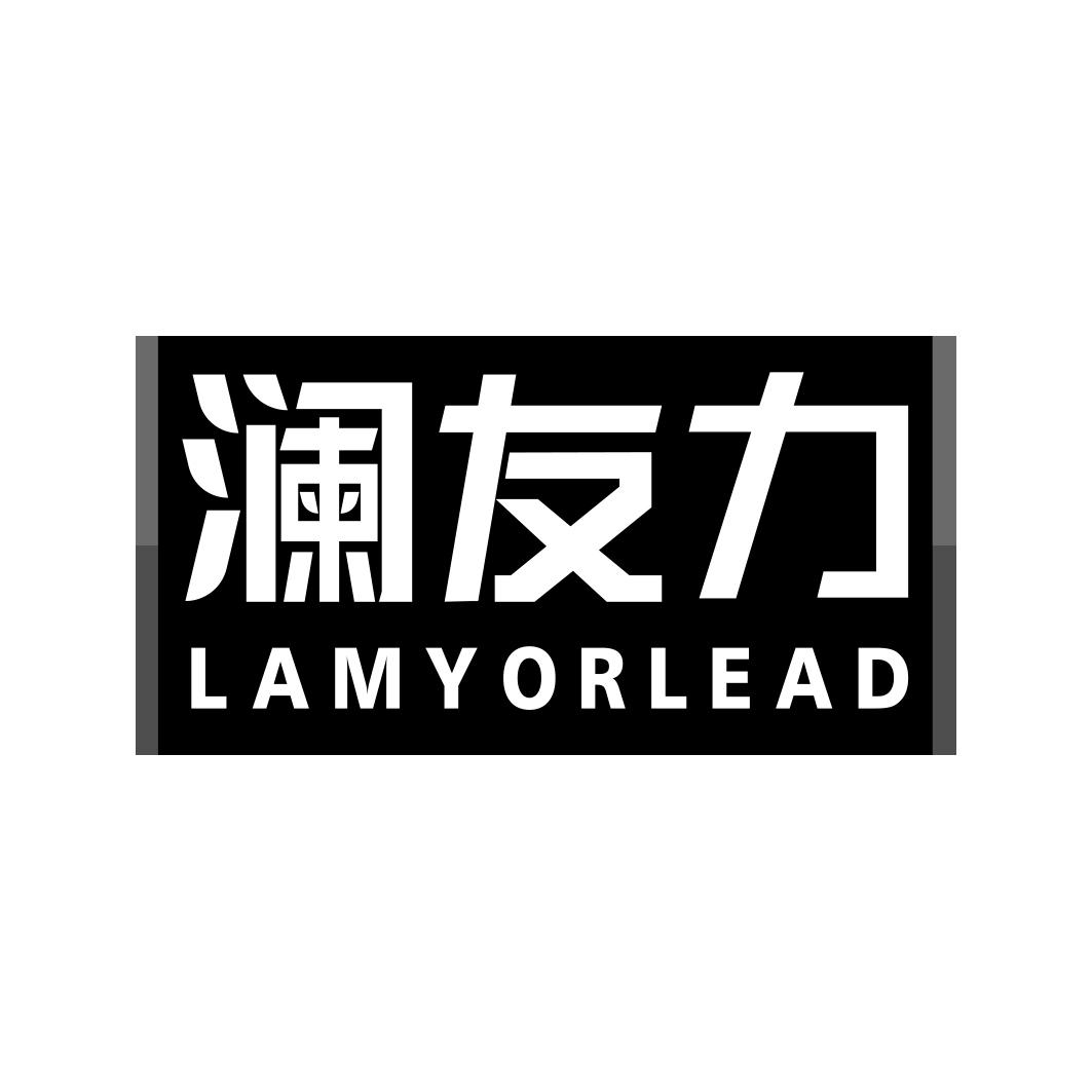 澜友力 LAMYORLEAD