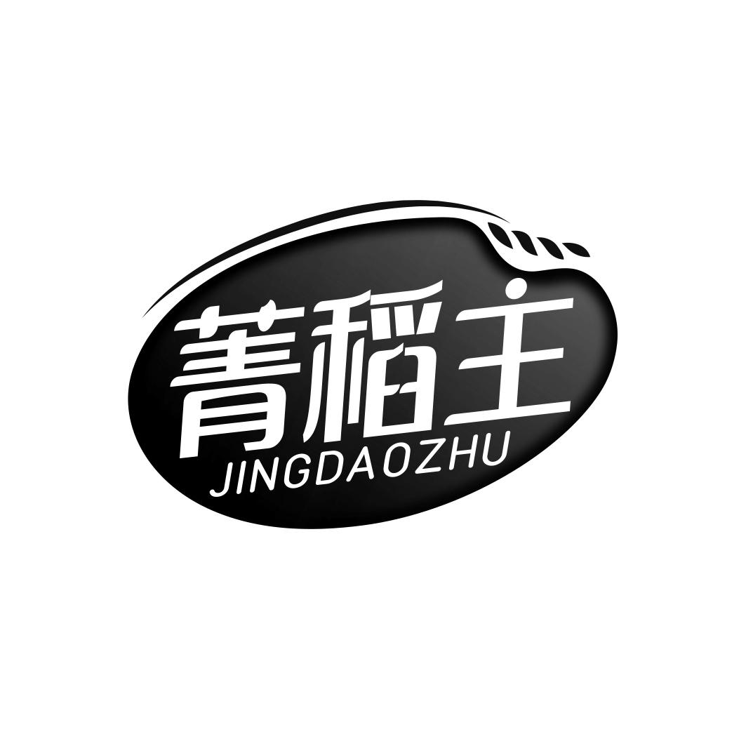 菁稻主      JING DAO ZHU