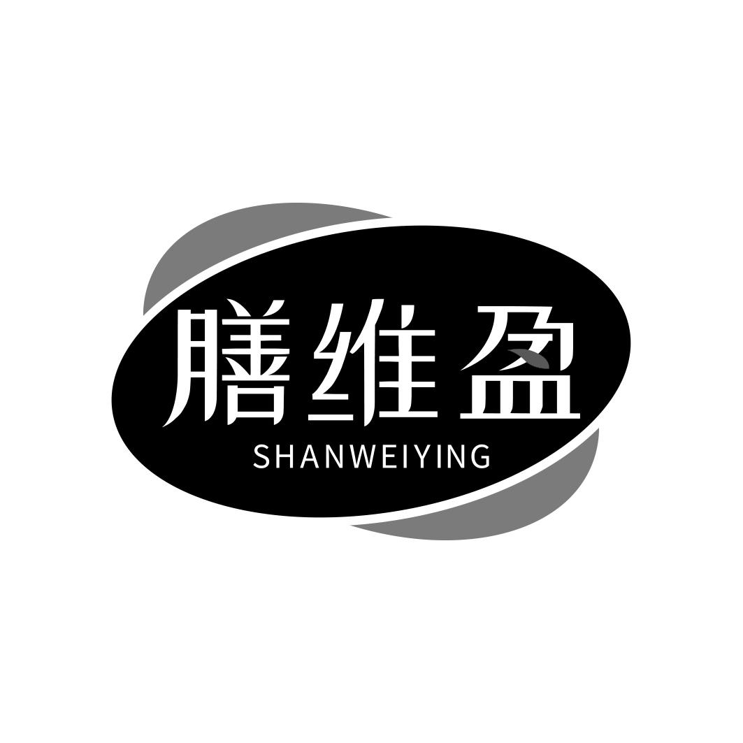 膳维盈    SHAN WEI YING