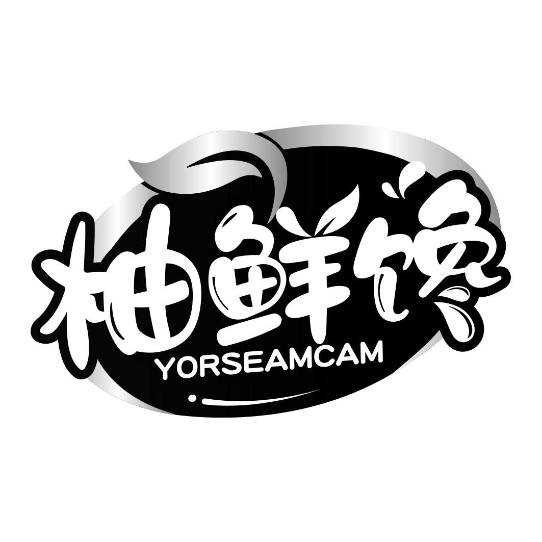 柚鲜馋 YORSEAMCAM