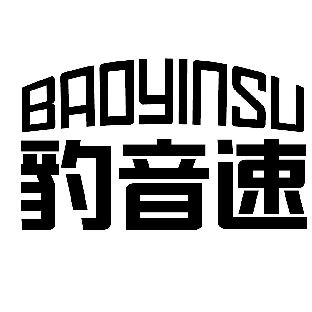 豹音速BAOYINSU