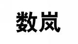 数岚