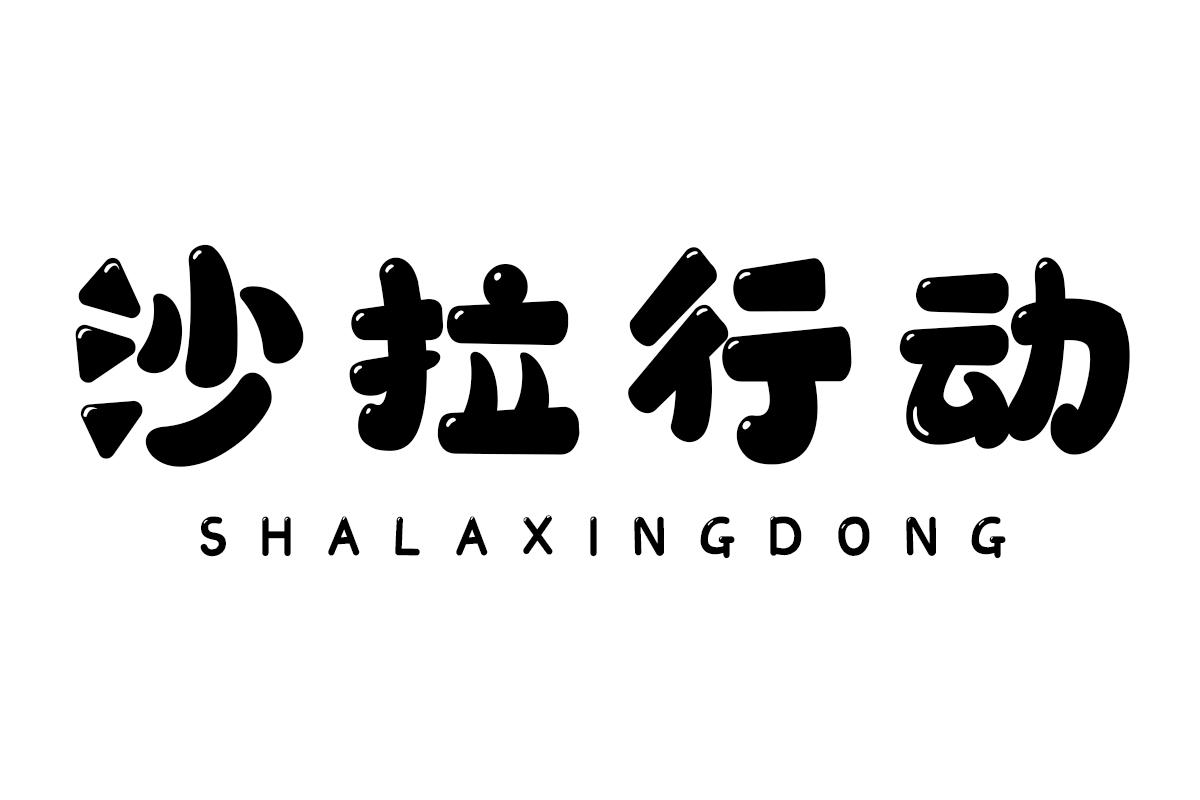 沙拉行动