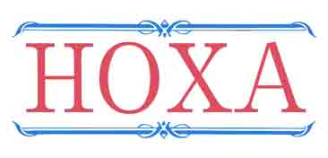 HOXA